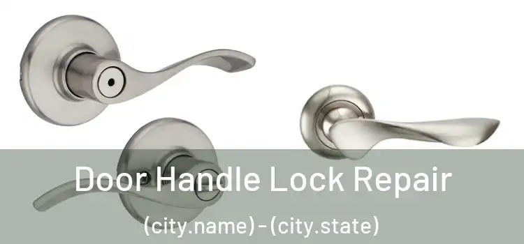 Door Handle Lock Repair (city.name) - (city.state)